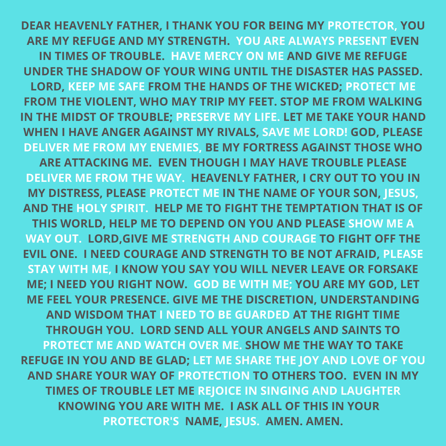 Protector Prayer Card